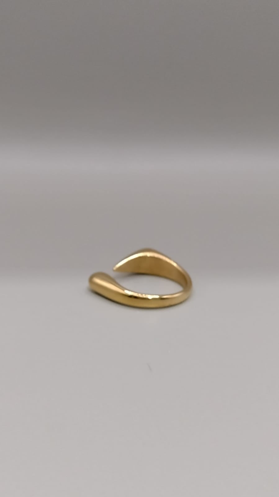 Anillo singular