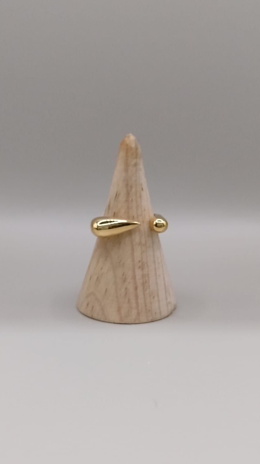 Anillo singular
