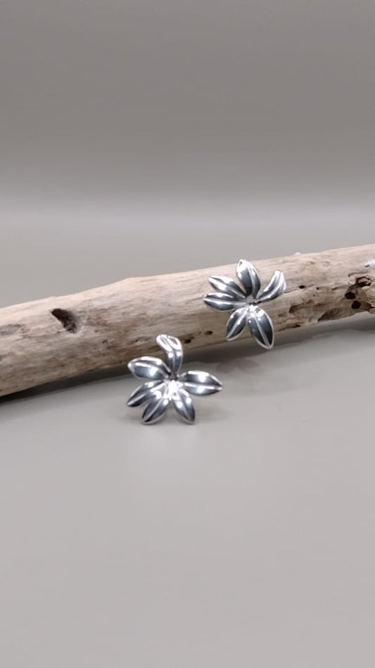 Arete media flor