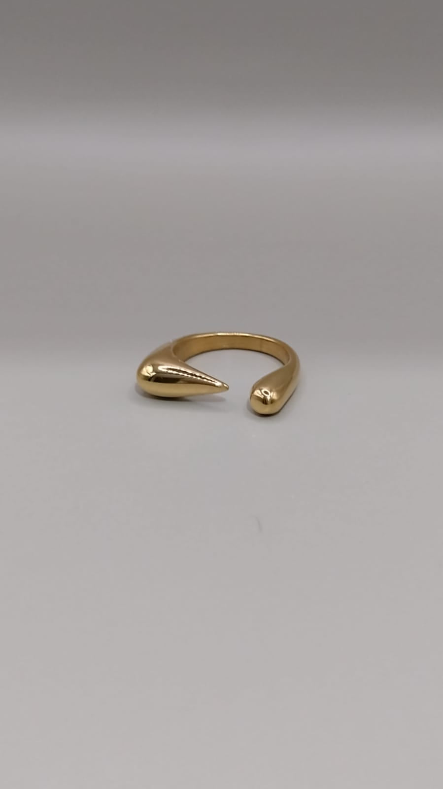 Anillo singular