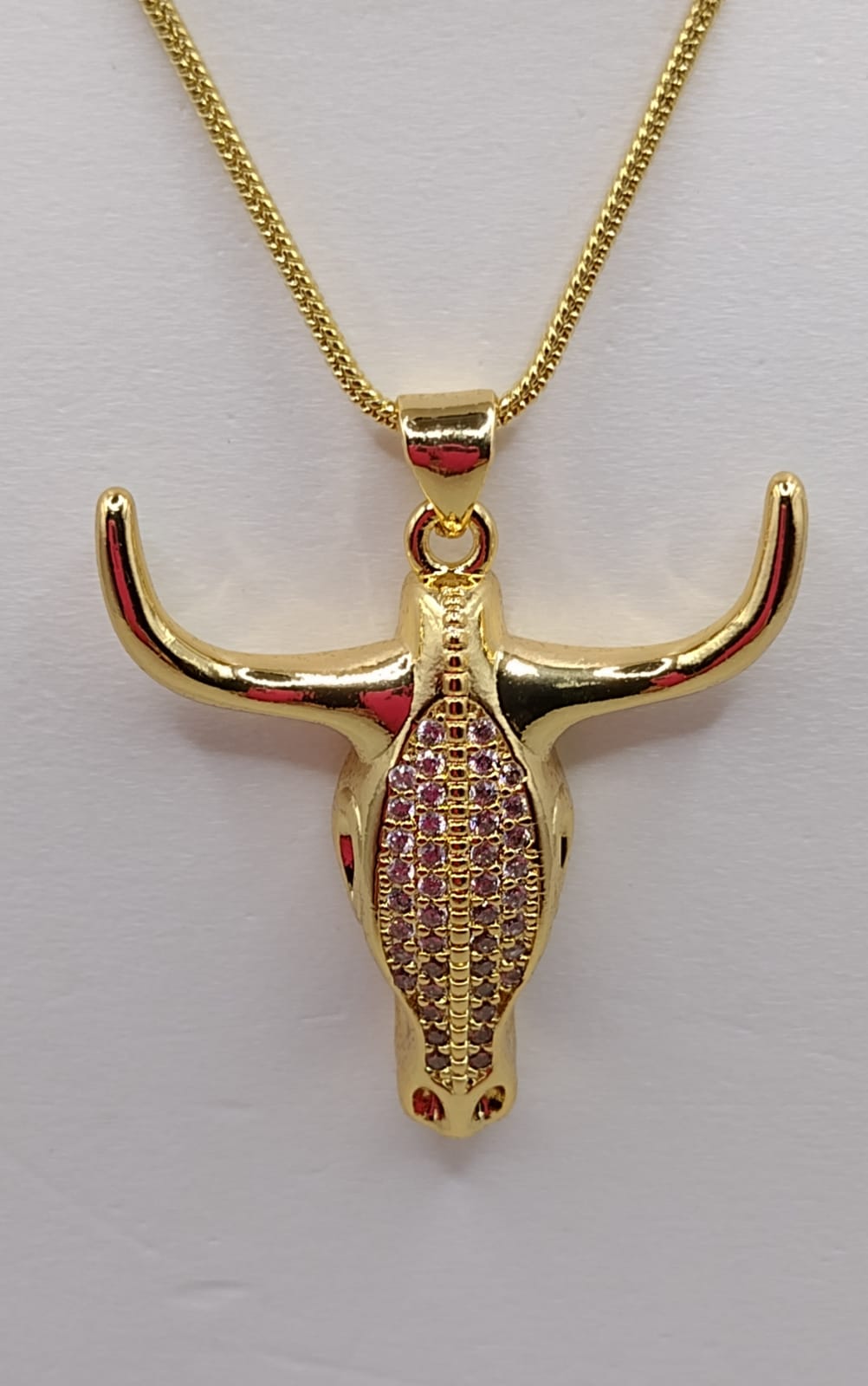 Collar estilo vaquero