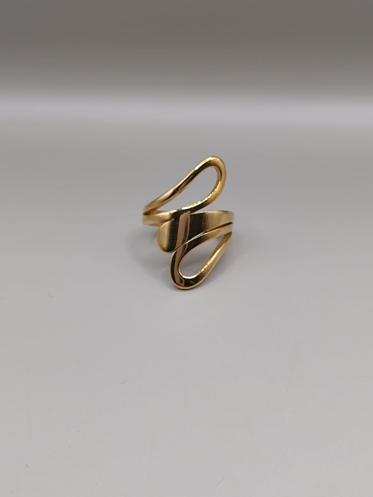 Anillo Ganzo
