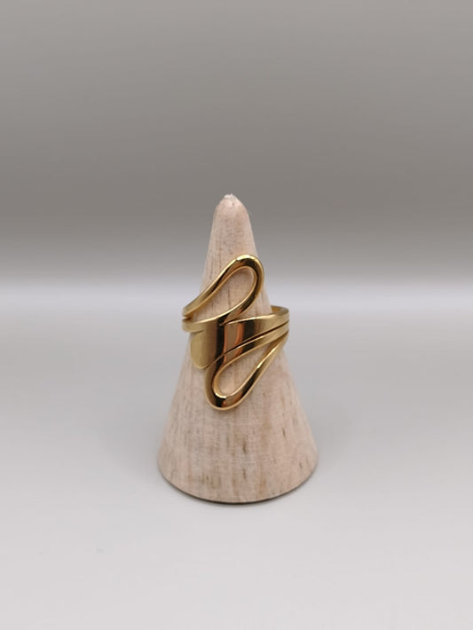 Anillo Ganzo